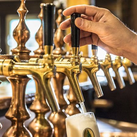 Hotel Garni Oberrhein Rheinfelden  Ngoại thất bức ảnh